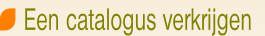 wp7df519a4.png