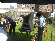 wp7fc1ec07.png
