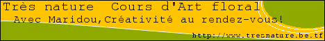 banniere.png